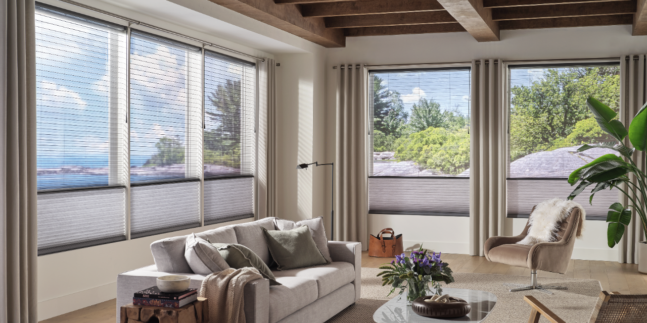 Hunter Douglas Duette clearview honeycomb cellular shades in living room for picture windows