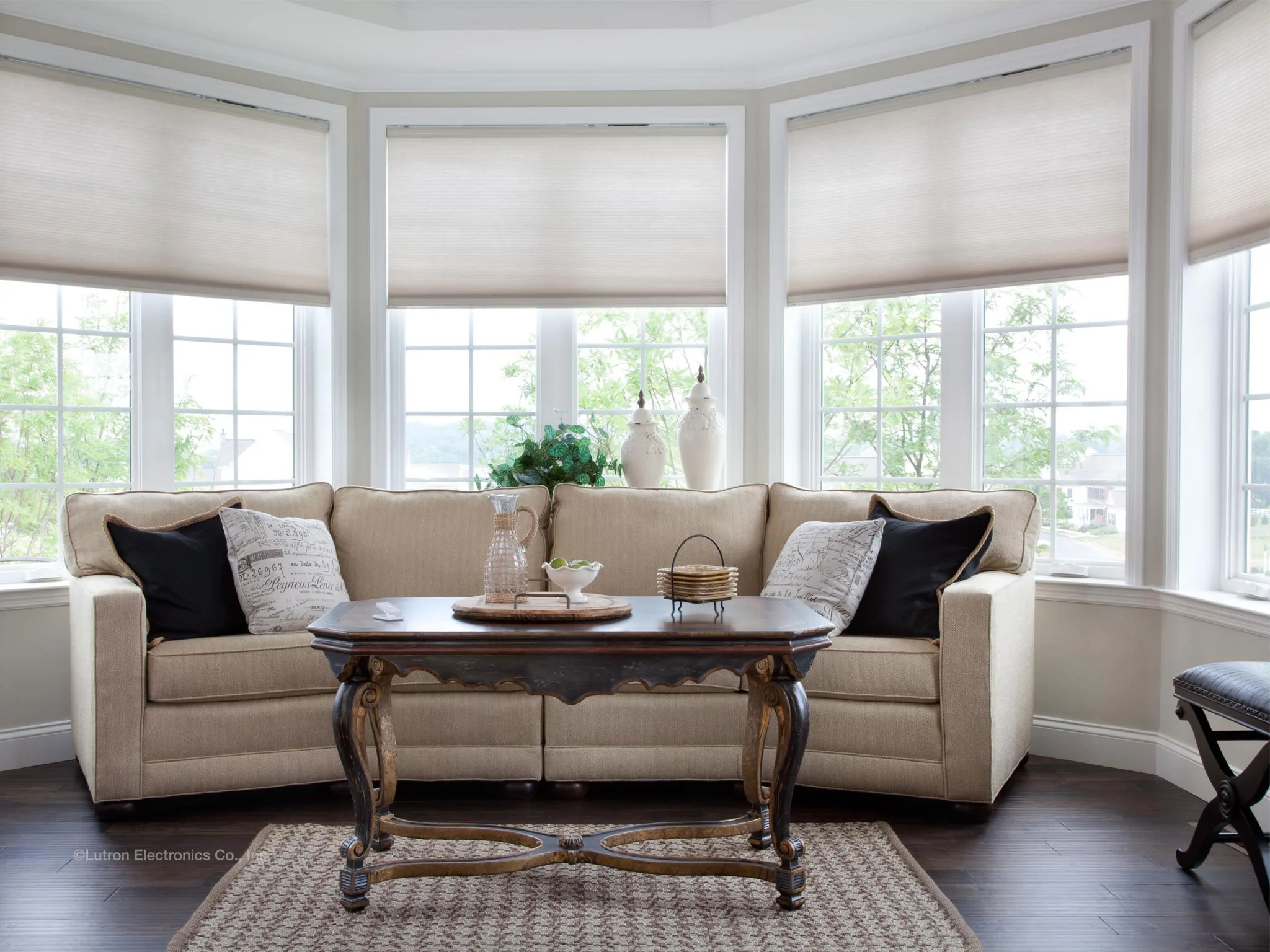 Lutron honeycomb cellular shades in living room