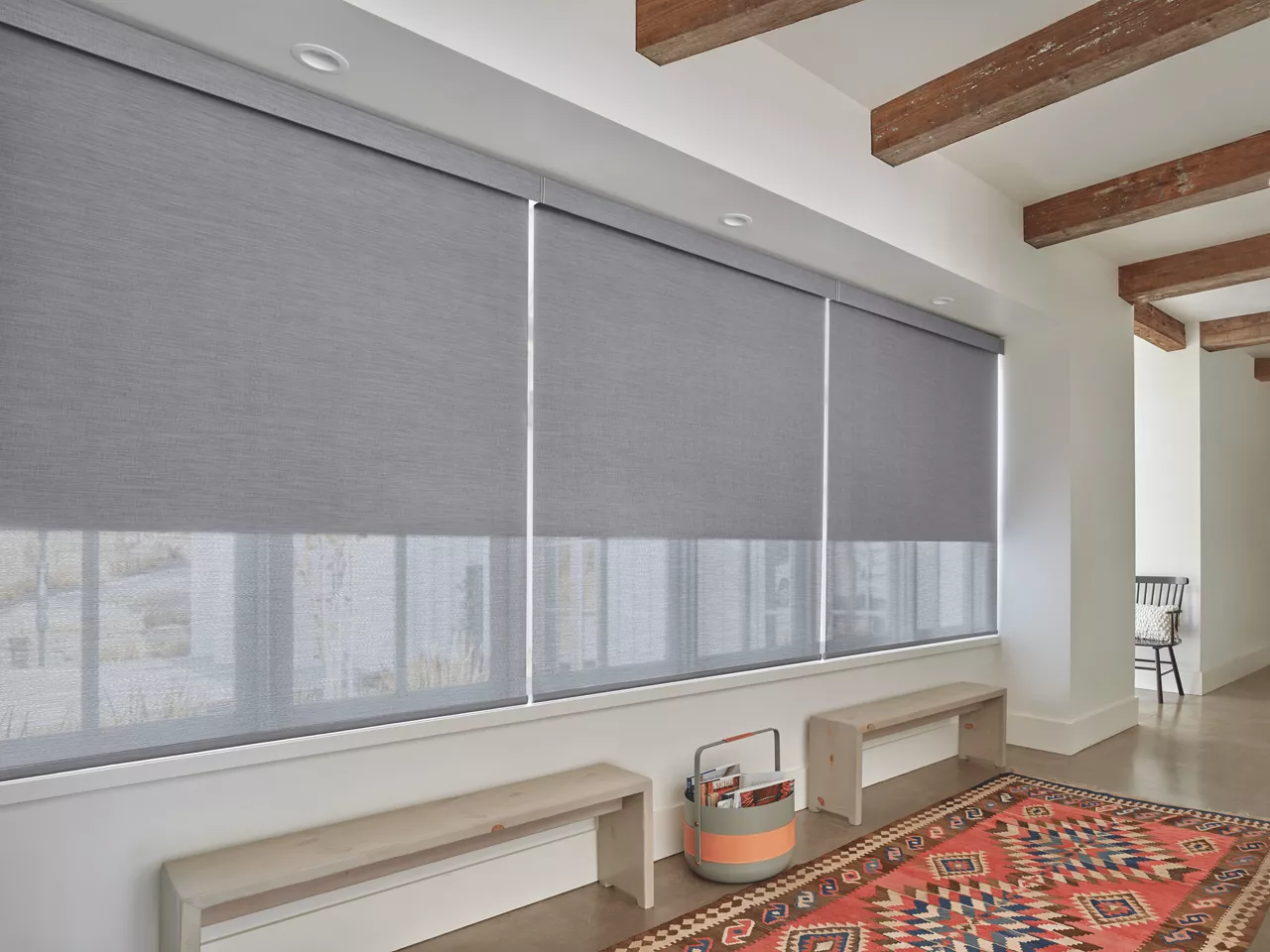 roller window shades