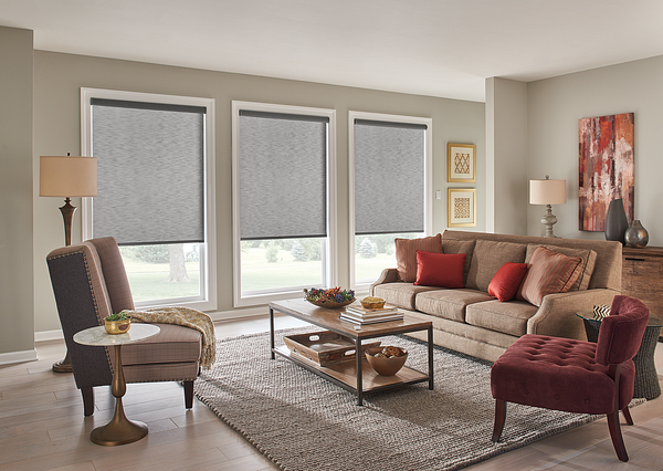 Living room roller shades