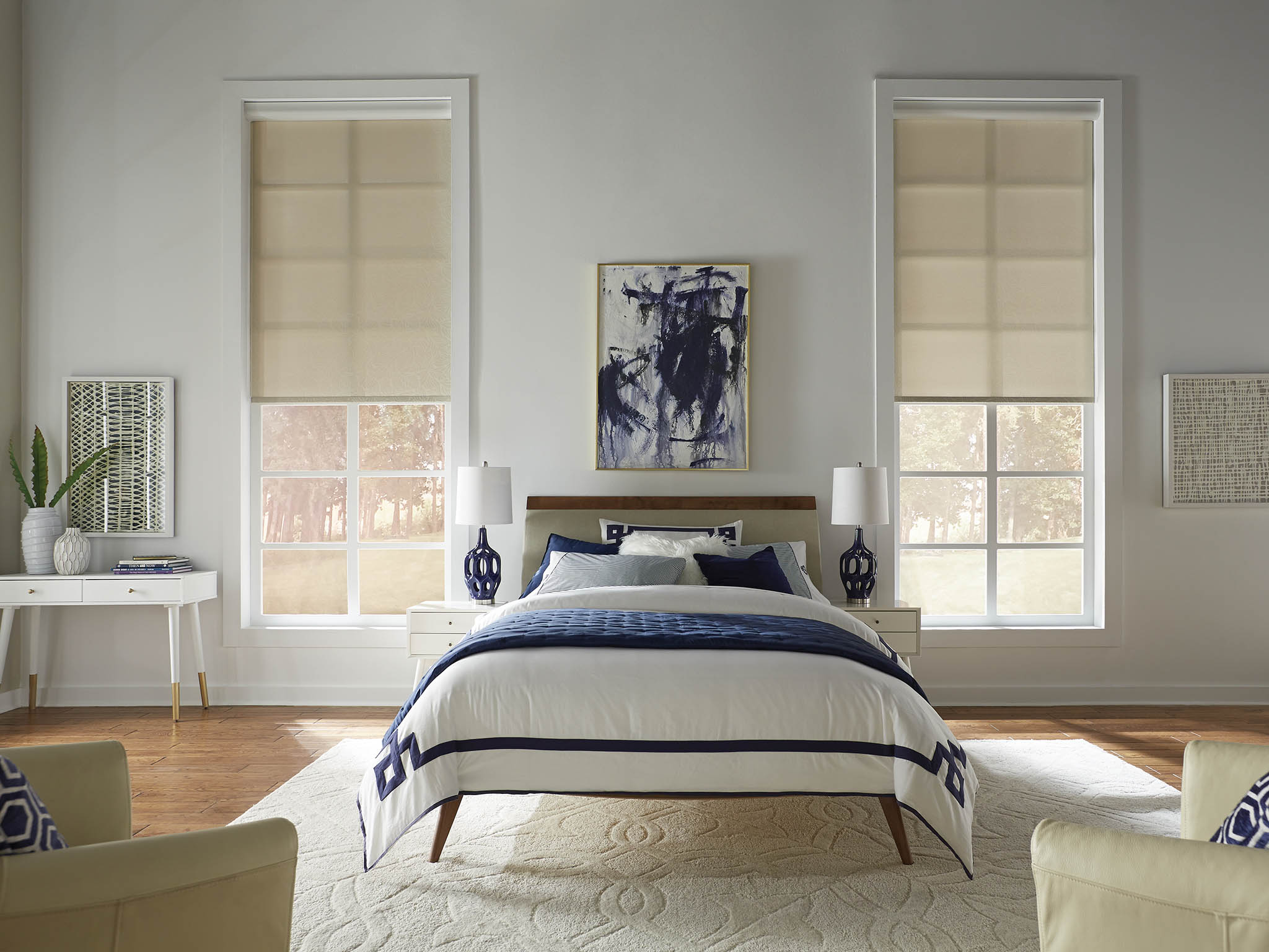 Lutron roller shades